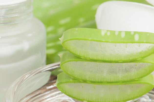 Aloe vera plant for skincare