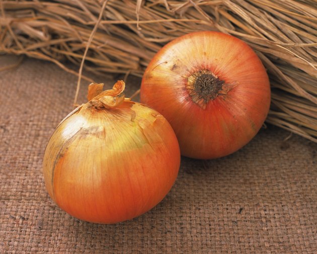 Closed Up Image of Two Onions, Next to Some Straw, High Angle View