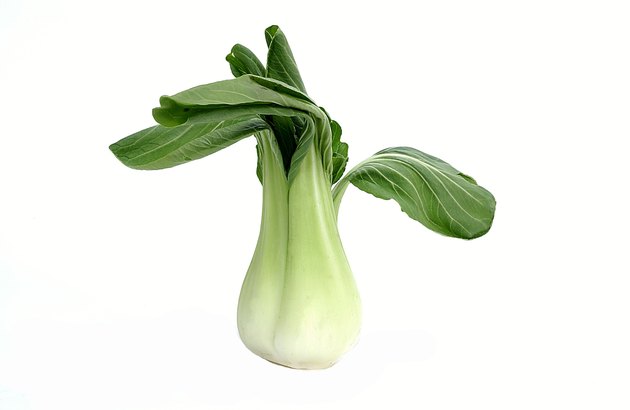 Chinese cabbage