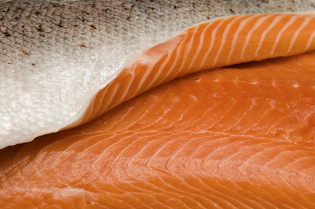 Fresh Salmon