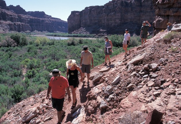 Trail of Hikers on Rocky Slope in Canyon