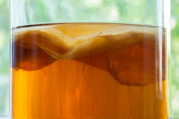 Natural kombucha fermented tea beverage healthy organic drink in vintage