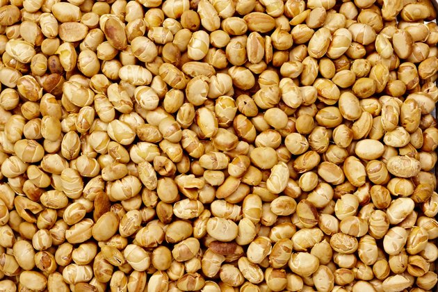 Soy nuts