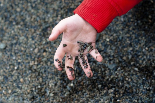 little hand holding pebbles
