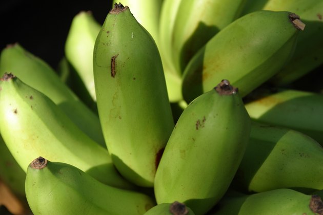 Close-up of bananas