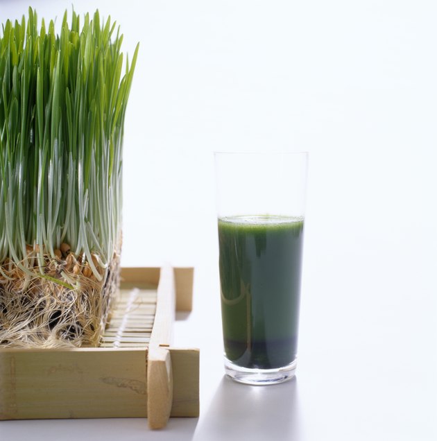 Wheatgrass Plant near a Wheatgrass Drink