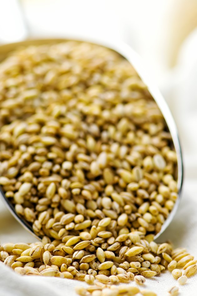 barley groats in a metal shovel.