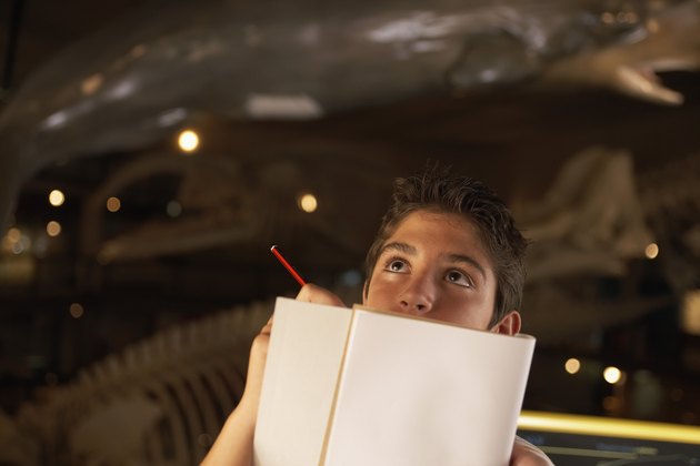 Boy Taking Notes in a Museum