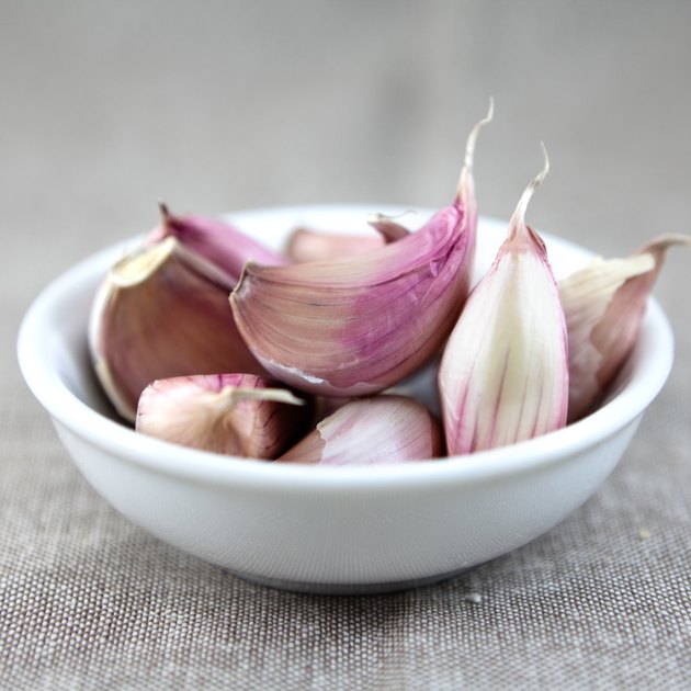 Garlic
