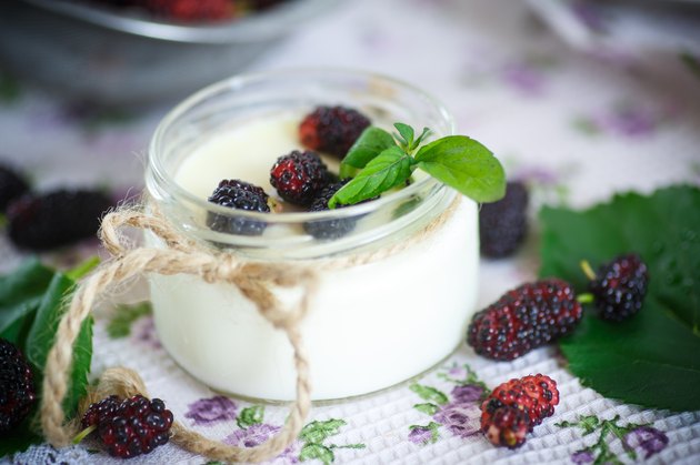 yogurt with mulberry