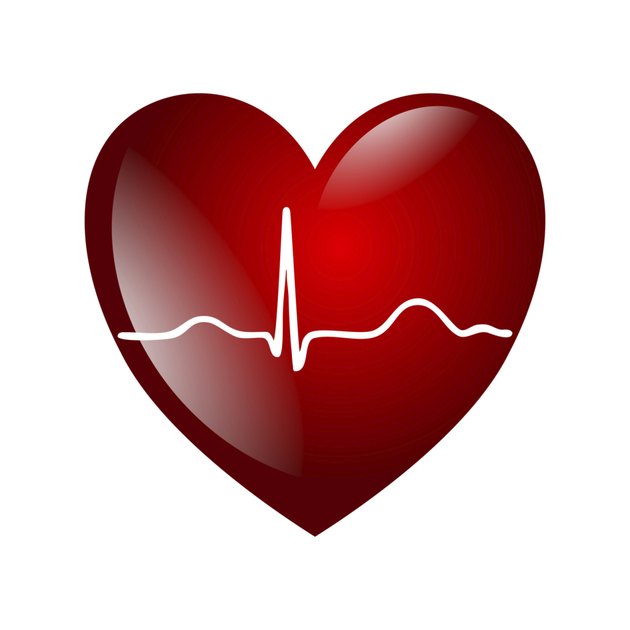 heart electrocardiogramm