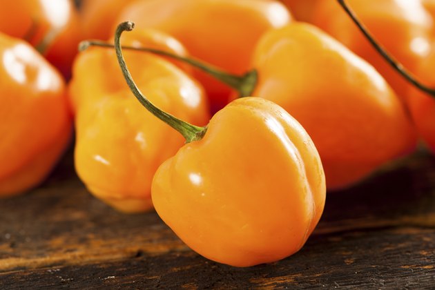 Organic Hot and Spicy Habanero Peppers
