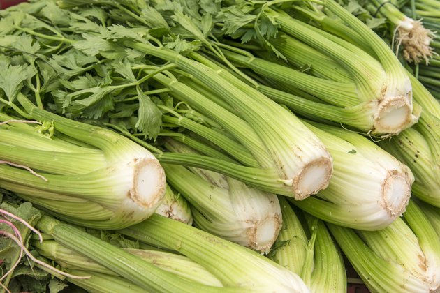 Fresh green celery in the market