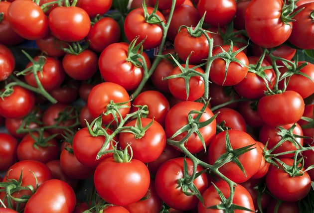 Many Ripe Red Tomatoes