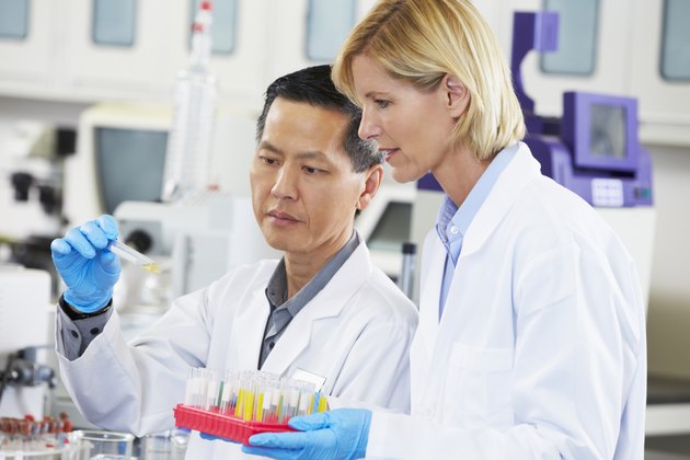 Male And Female Scientists Working In Laboratory