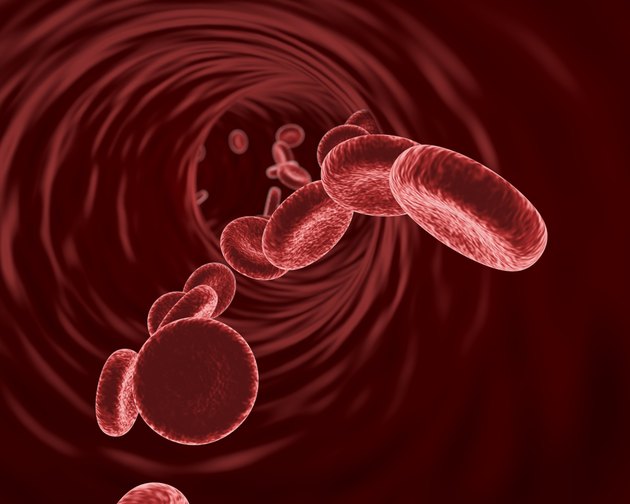 Blood cells