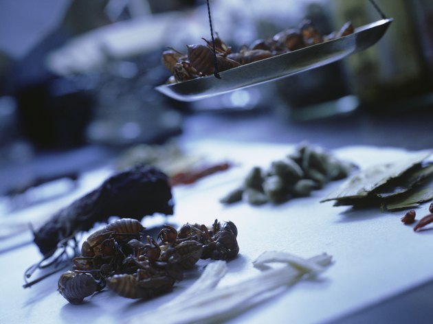 Samples being weighed in research laboratory