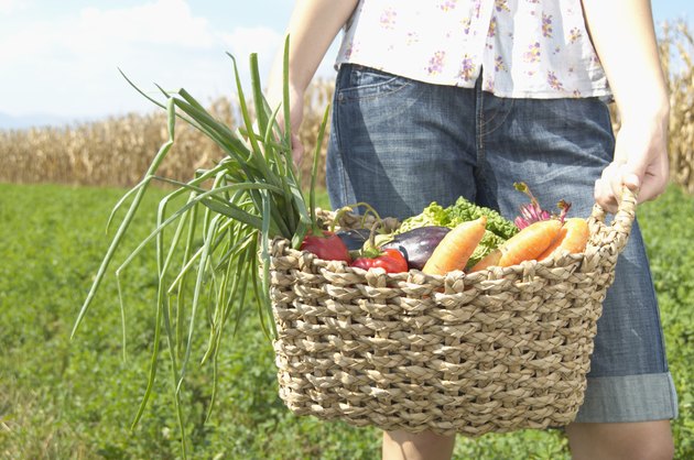 Teenage girl (16-18) holding basket of vegetables, mid section