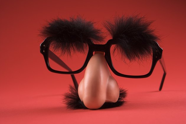 Novelty disguise