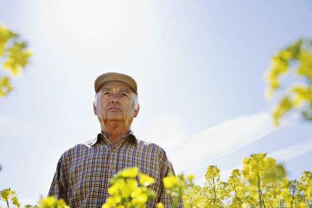 Farmer standing in field