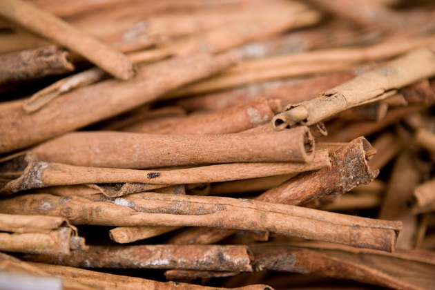 Close-up of cinnamon sticks