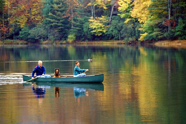 Couple, with dog, canoeing on lake