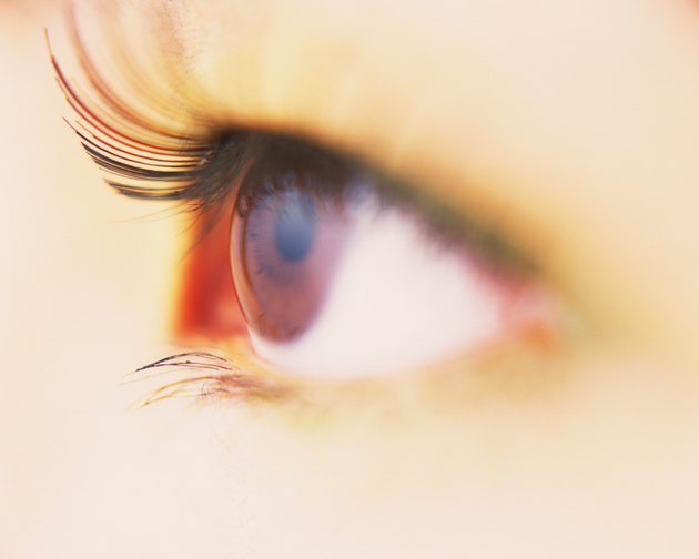 Closed Up Image of an Eye Wearing False Eyelashes, Differential Focus, Side View