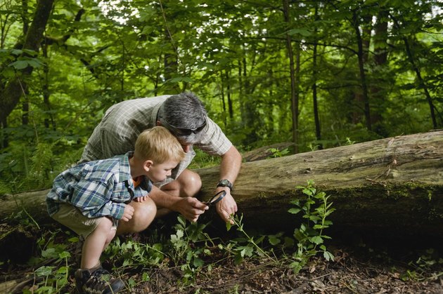 Father and son with magnifying glass in forest
