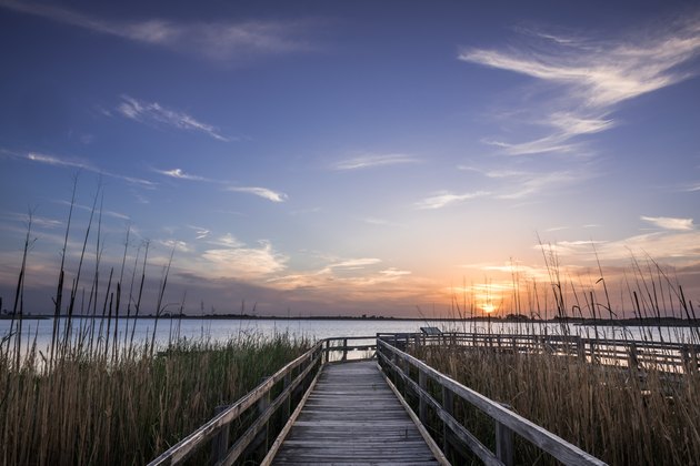 Sunset On The Dock Of The Back Bay