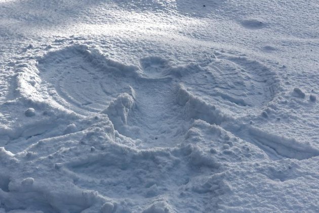 Snow angel in forest near Aegviidu parish.