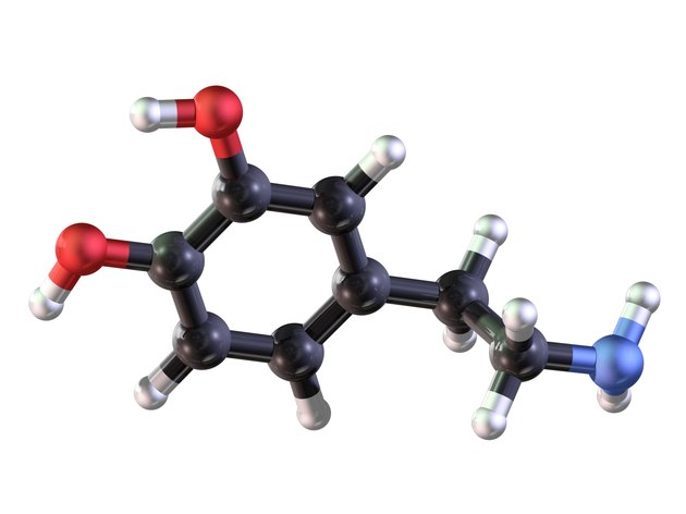 Dopamine Model