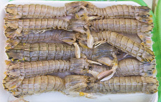 very fresh crustaceans called mantis shrimp