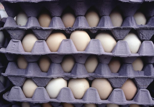 Egg palettes, (Close-up)