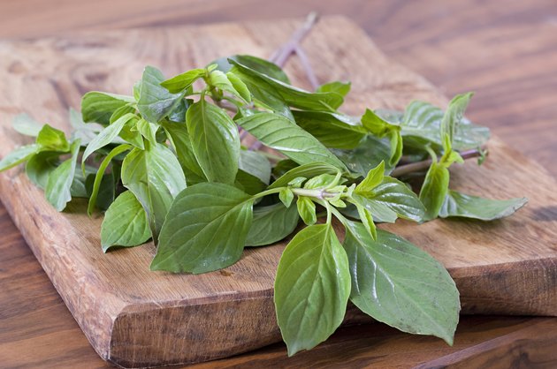 Thai basil