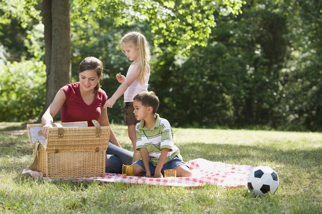 Mother and children having picnic in park
