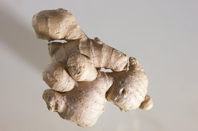 Portrait of ginger root
