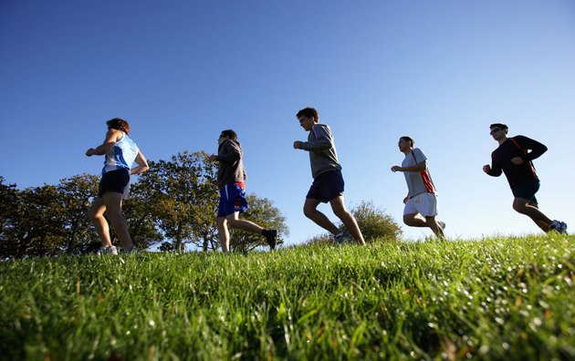 Five men jogging in park, ground view