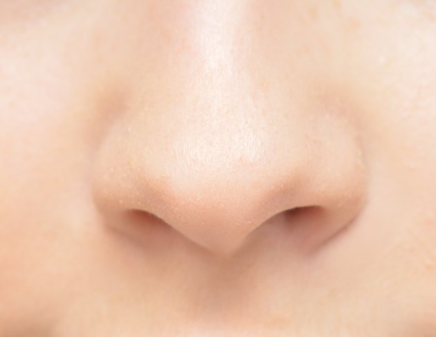 human nose