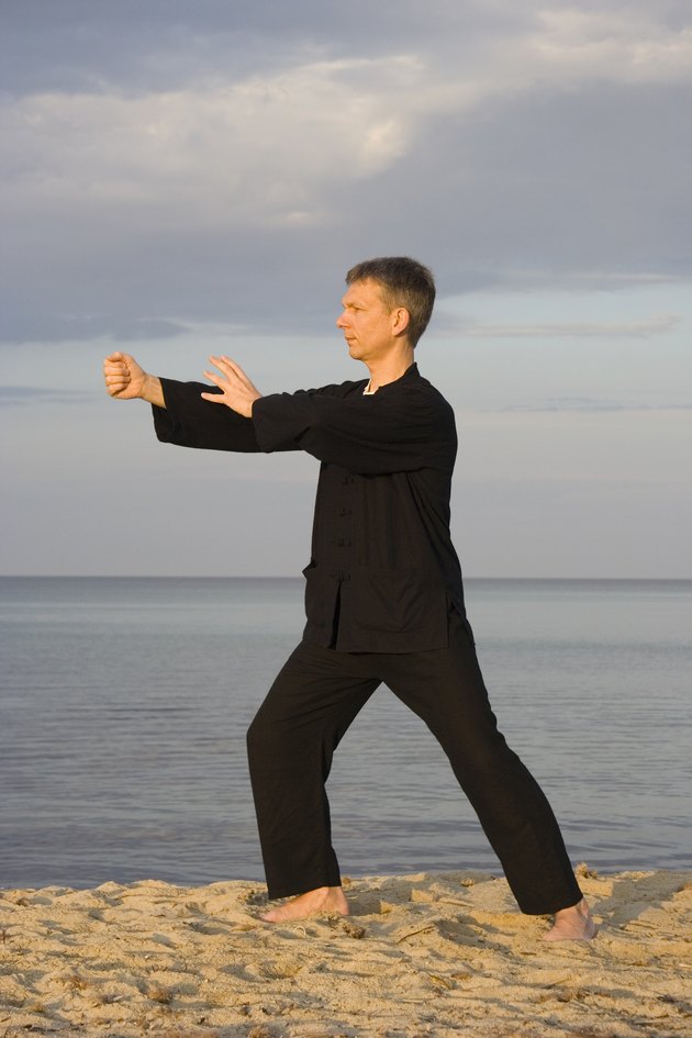 tai chi - posture punch