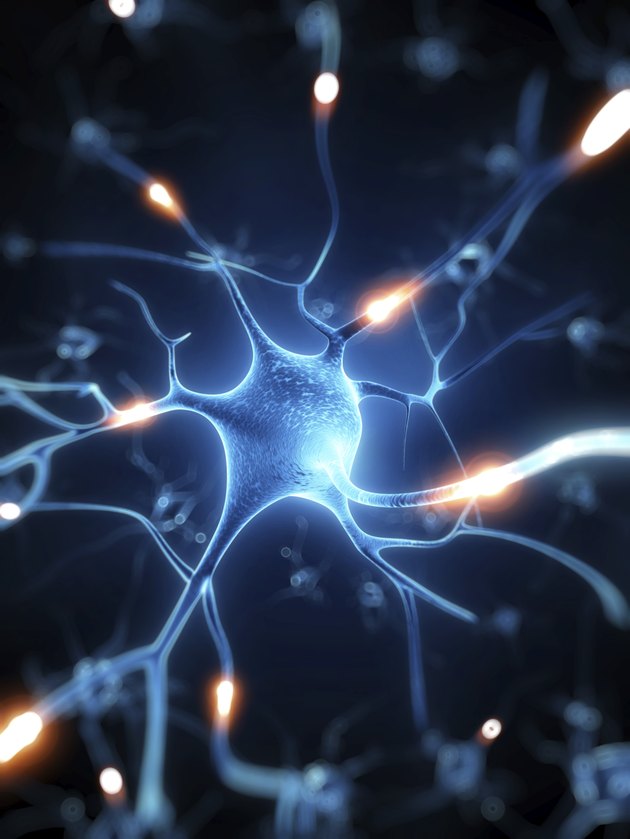 active nerve cell illustration