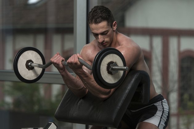 Man In The Gym Exercising Biceps With Barbell