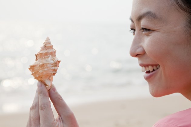 Best Beaches For Shells In San Diego