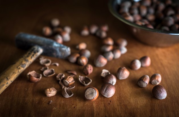 Cracked Hazelnut