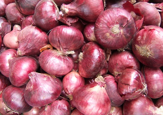 satureated faqt onion