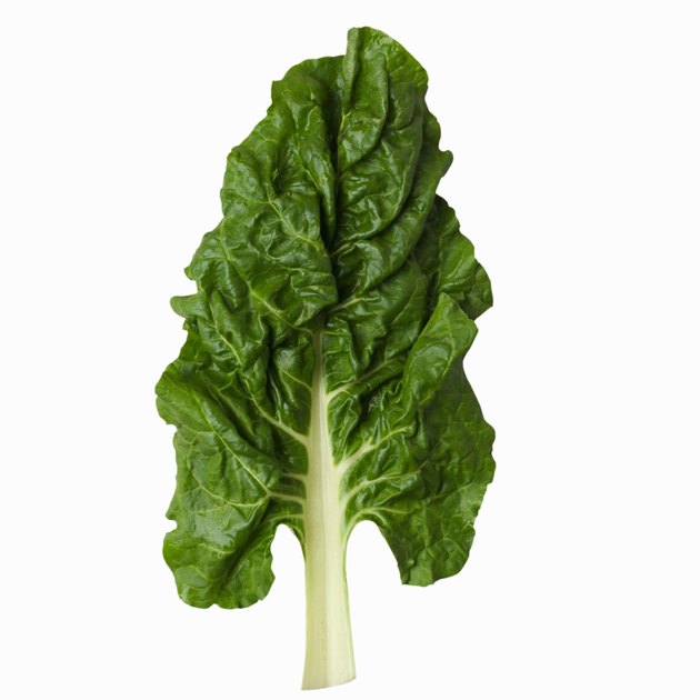 Close-up of single Swiss chard