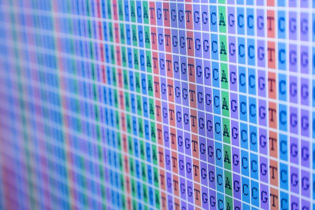 DNA bases alignment
