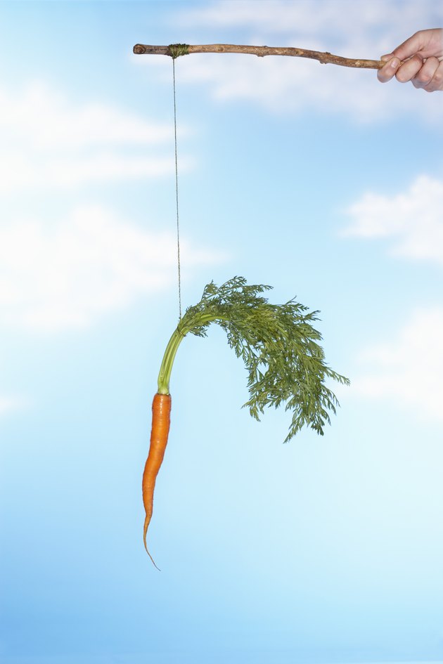 Person Dangling Carrot From Stick