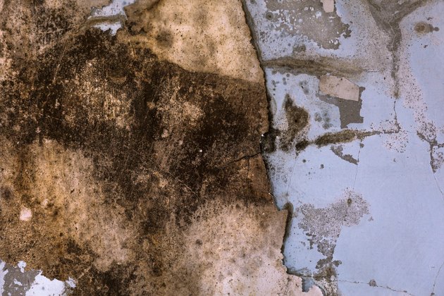 Leaking and mildew wall