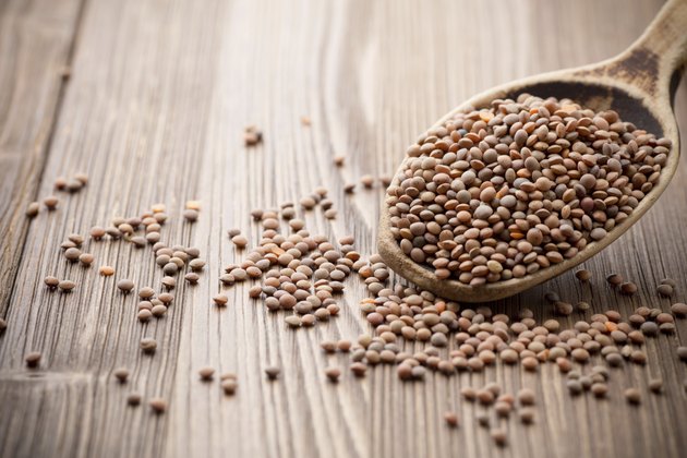 Lentil.