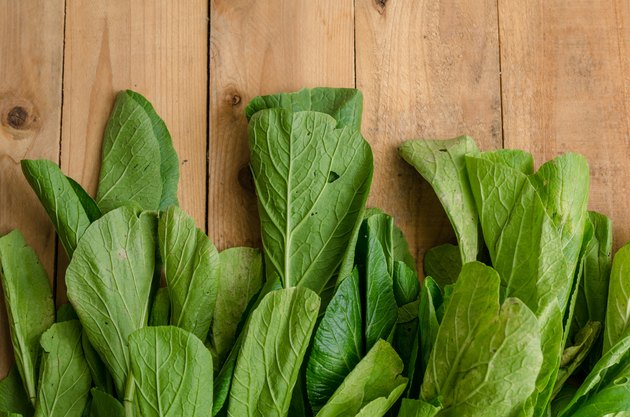 Fresh Green Chinese Cabbage, Pok Choi or Pak Choi